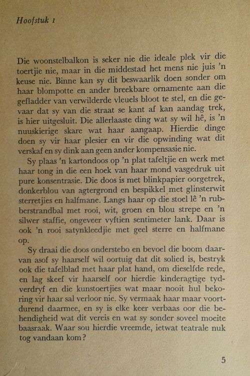 Rooj lag van die lewe deur Vincent van der Westhuizen