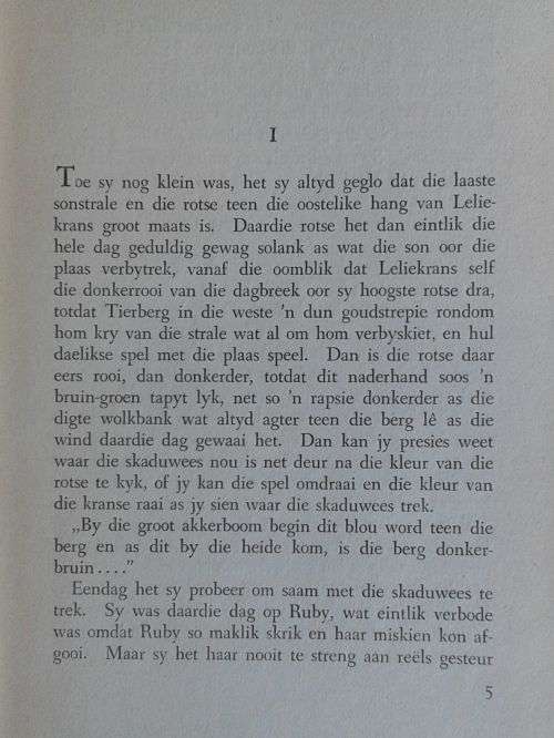 Silwer kettings deur Nellis Fourie