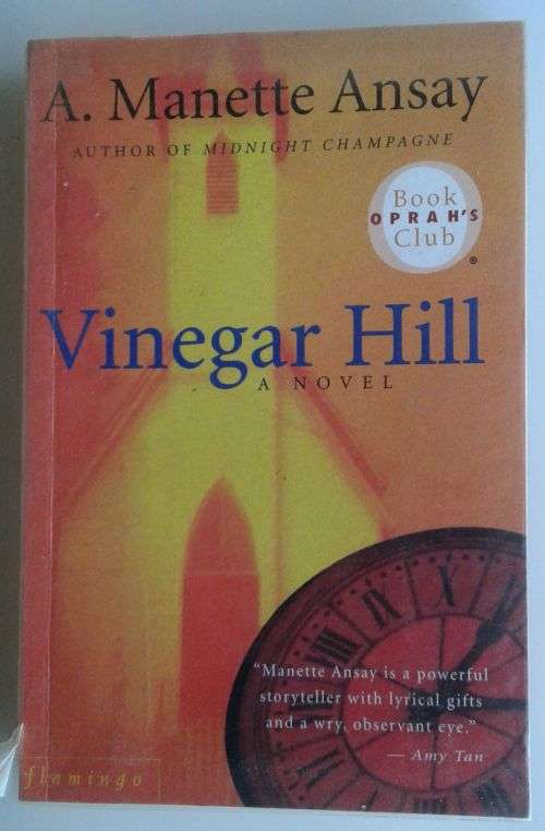Vinegar Hill by A Manette Ansay