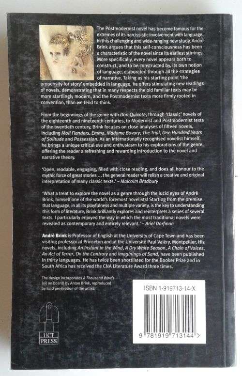 The novel by Andre Brink