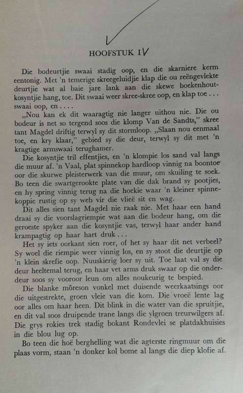 Uit ruwe aarde deur Corne Mare