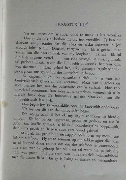 Die vrou in Seepunt deur Andre Groenewald