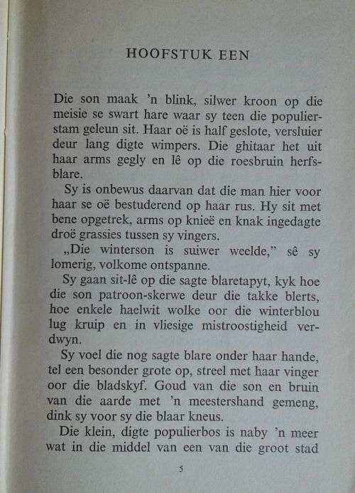Vrou vir Sja-Sjani deur Anna Penzhorn