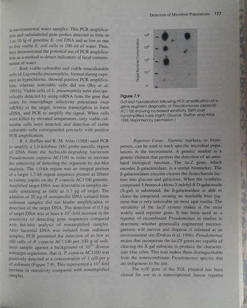 Microbial ecology
