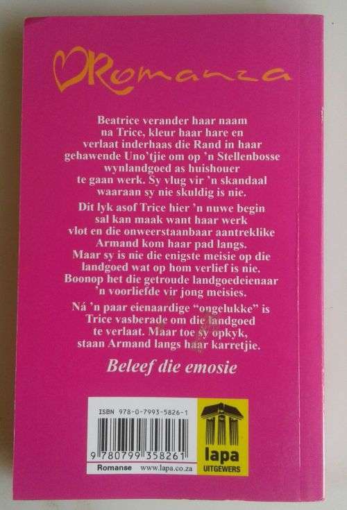 Nuwe geluk deur Ann Hite Kemp (Romanza)
