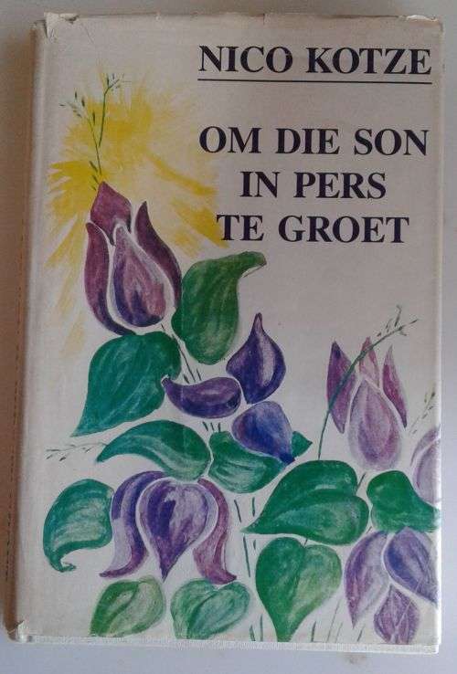 Om die son in pers te groet deur Nico Kotze