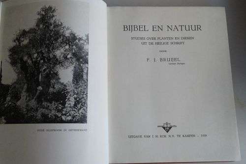 Bijbel en natuur (studies over planten en dieren uit de heilige schrift) door FJ Bruijel 1939