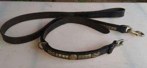 Staffordshire bull terrier show collar and lead (Imported from AE collars)