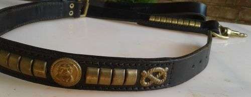 Staffordshire bull terrier show collar and lead (Imported from AE collars)