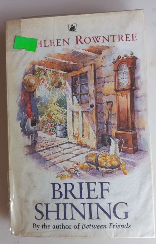 Brief shining by Kathleen Rowntree