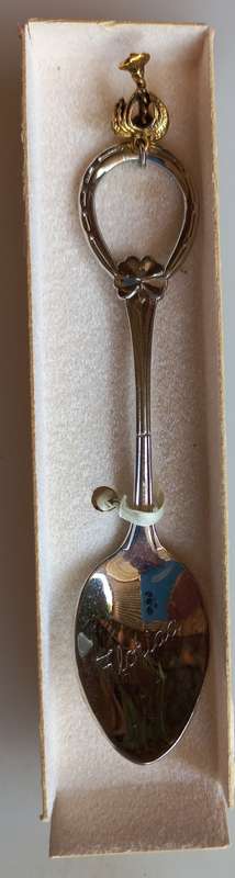 Florida souvenir spoon