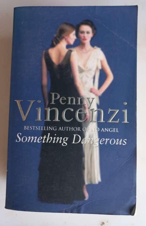 Something dangerous by Penny Vincenzi