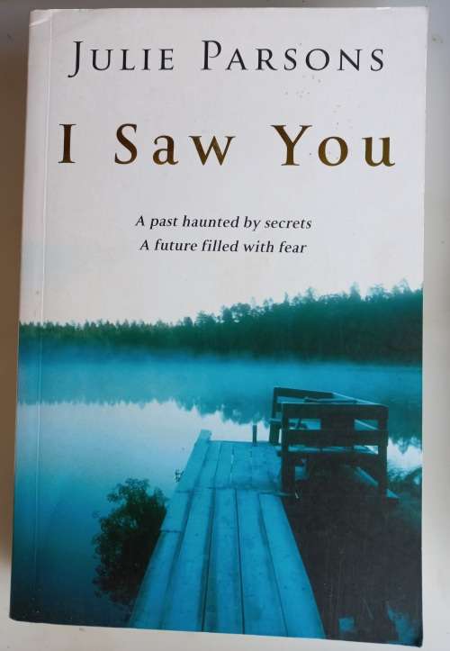 I saw you by Julie Parsons