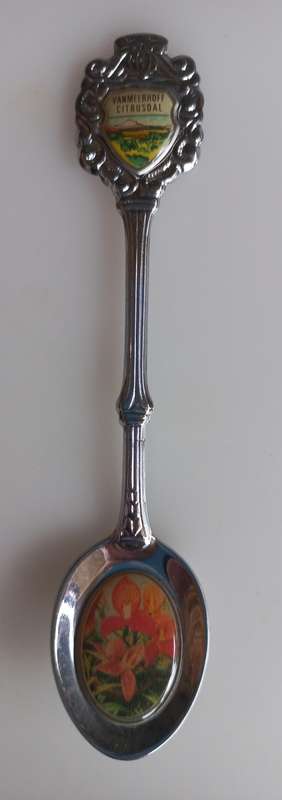 Vanmeerhoff Citrusdal souvenir spoon
