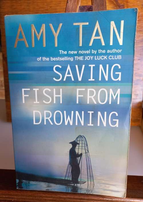 Saving fish from drowning by Amy Tan