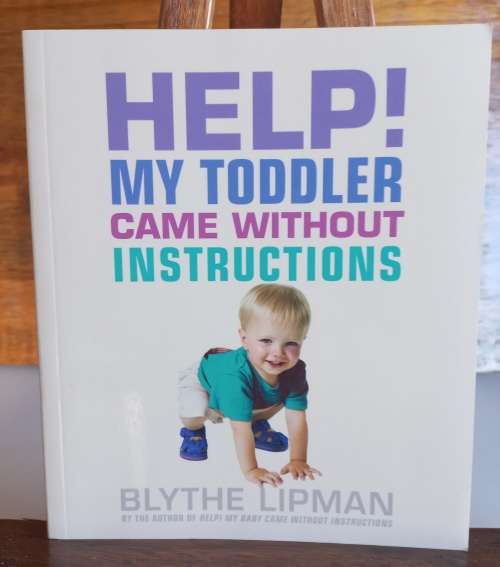Help my toddler came without instructions by Blythe Lipman