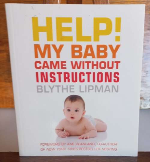 Help my baby came without instructions by Blythe Lipman