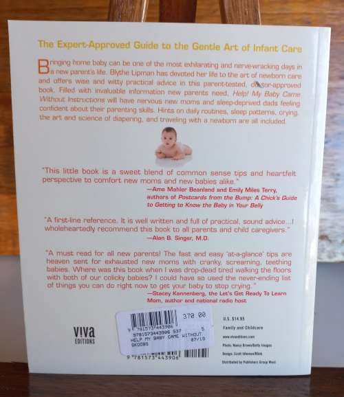 Help my baby came without instructions by Blythe Lipman