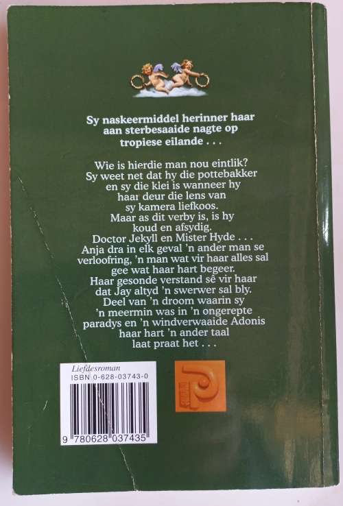 Gesigte van gister deur Vita du Preez