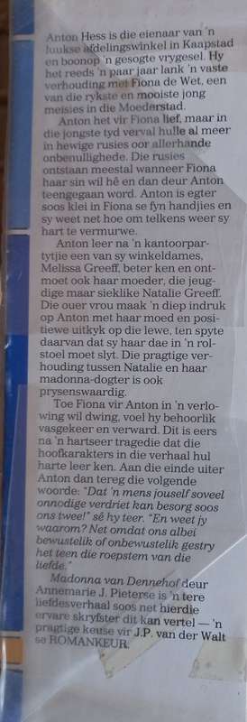 Madonna van Dennehof deur Annemarie J Pieterse