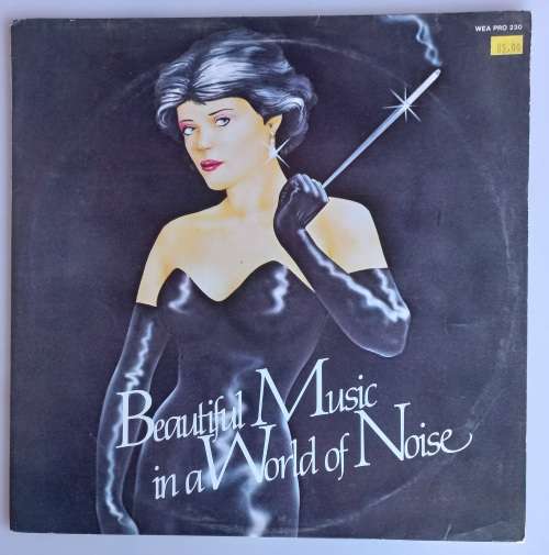 Beautiful music in a world of noise LP