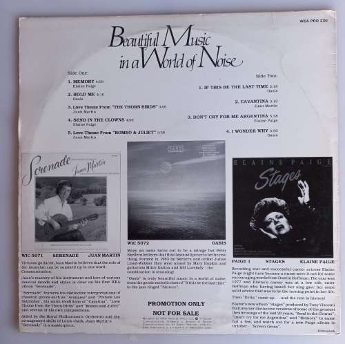 Beautiful music in a world of noise LP