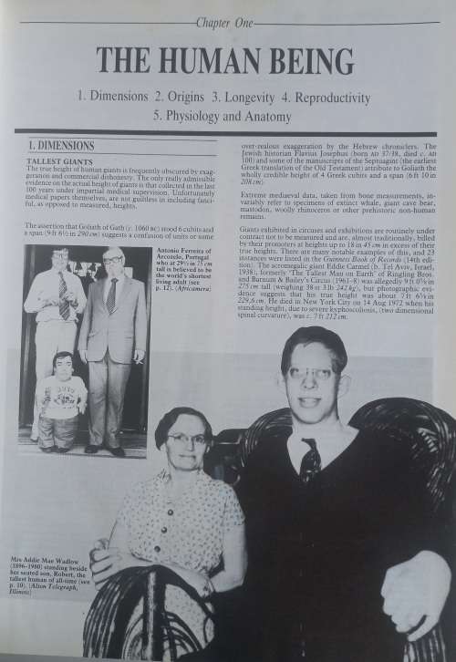 Guinness book of records 1984