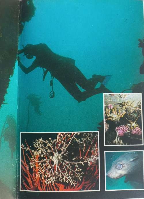 Where to dive in Southern Africa and off the Islands by Al J Venter
