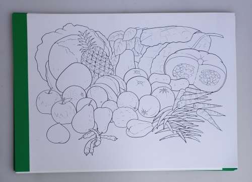 The SA sugar industry nutrition education teacher`s kit no 5 - 8 x Vintage school posters