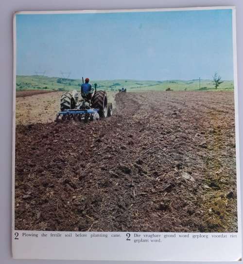 Vintage school posters x 23 (Sugar industry)