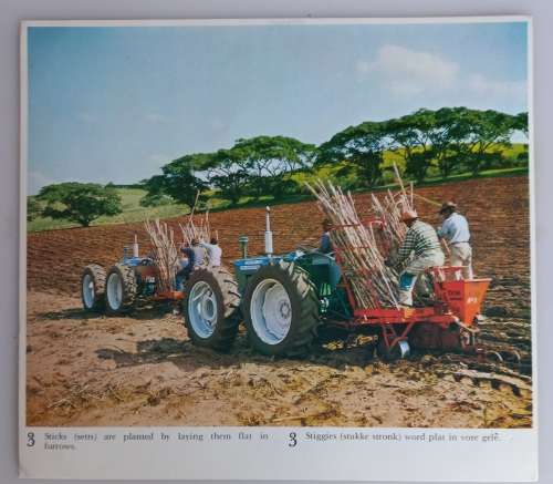 Vintage school posters x 23 (Sugar industry)