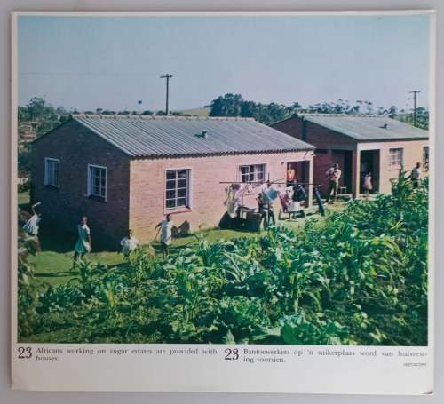Vintage school posters x 23 (Sugar industry)