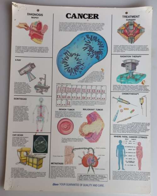 Vintage school poster - cancer