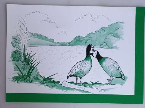 Vintage school posters x 8: The SA sugar industry The environment teacher`s kit no 4