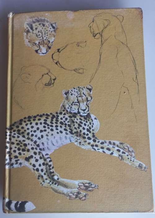 The spotted sphinx by Joy Adamson