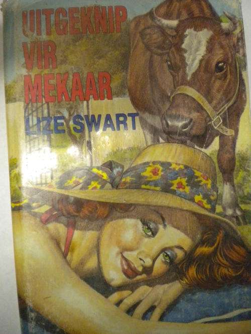 Uitgeknip vir mekaar deur Lize Swart