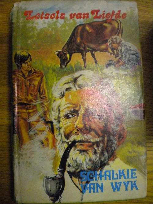 Letsels van liefde deur Schalkie van Wyk