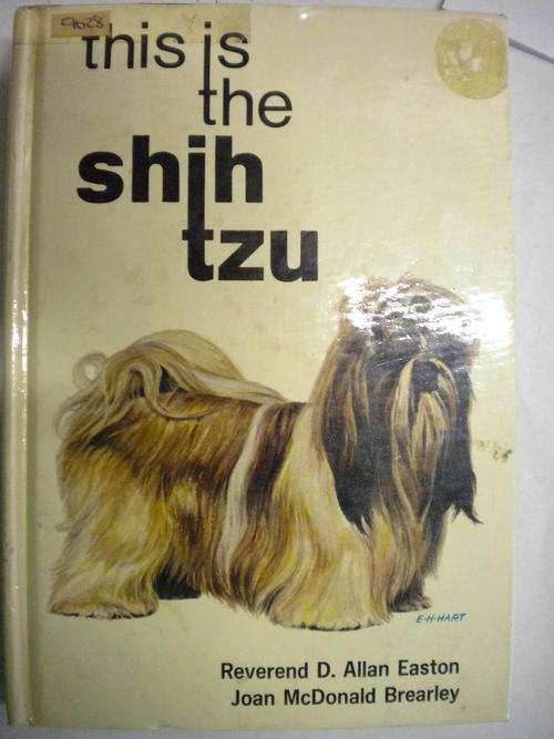 This is the Shih Tzu