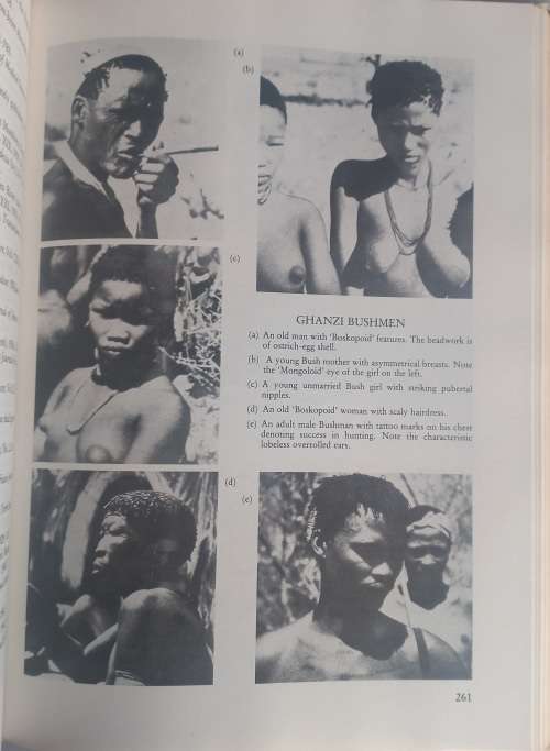Images of humanity by Phillip V Tobias