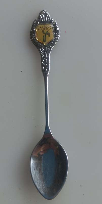 Caledon Blue Bells souvenir spoon