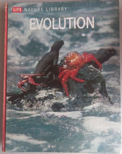 Evolution