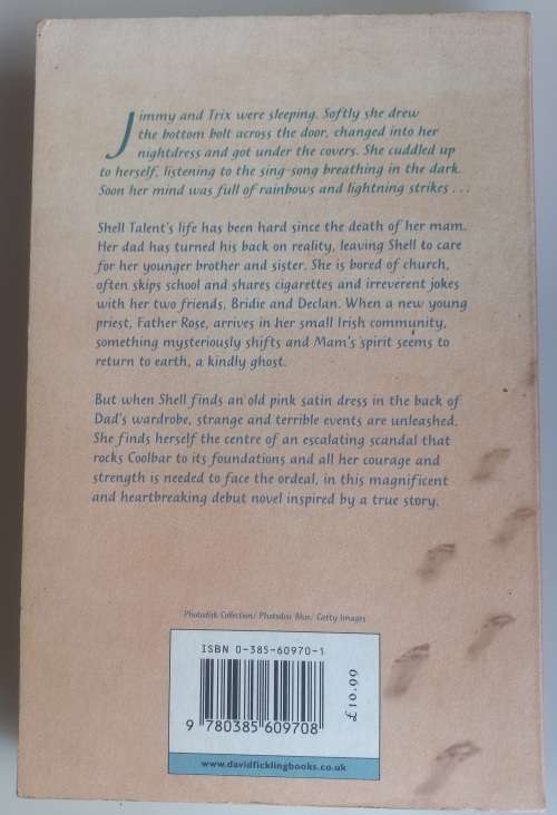 A swift cry by Siobhan Dowd