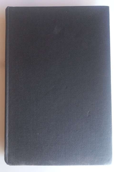 The revolving man by Victor Anant