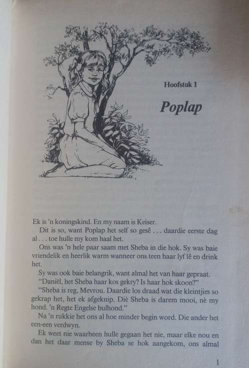 Koningskind deur  Anita du Plessis