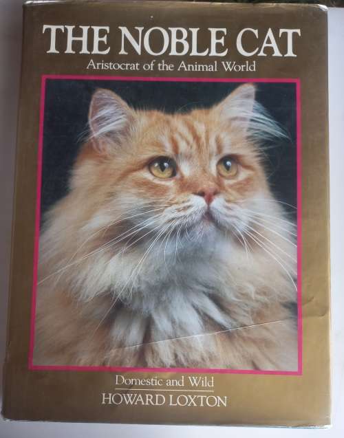 The noble cat, aristocrat of the animal world