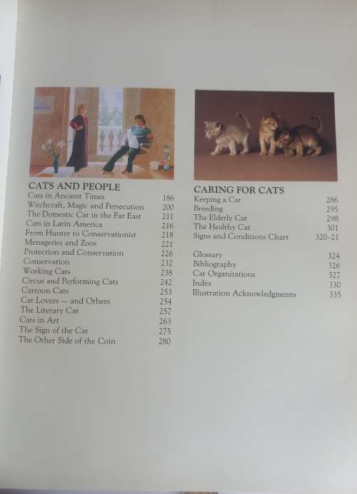 The noble cat, aristocrat of the animal world