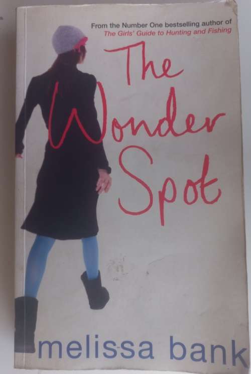 The wonder spot by Melissa Bank