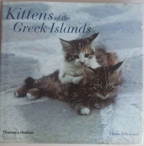 Kittens of the Greek Islands