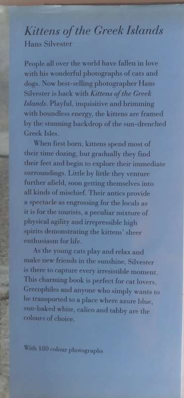 Kittens of the Greek Islands