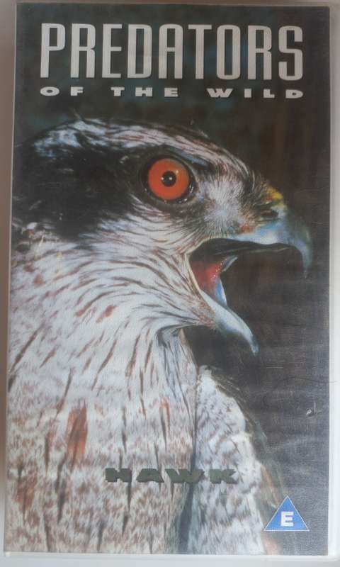 Predators of the wild: Hawk VHS